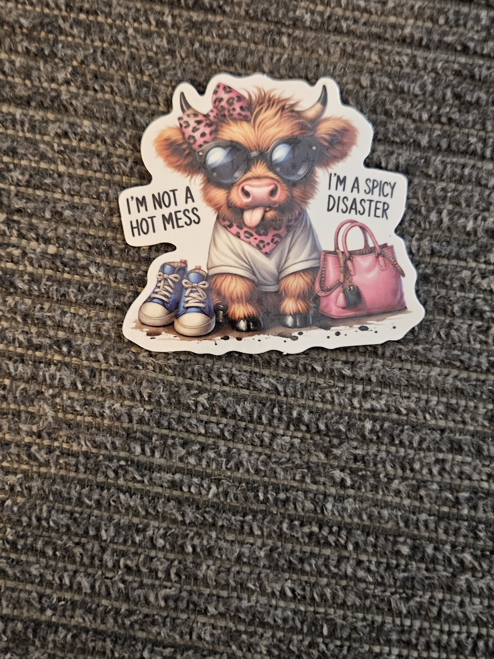 *** SOLD *** Humorous Sticker Pack - Assorted Multi-Color Vinyl Decals - Picture 7 of 12